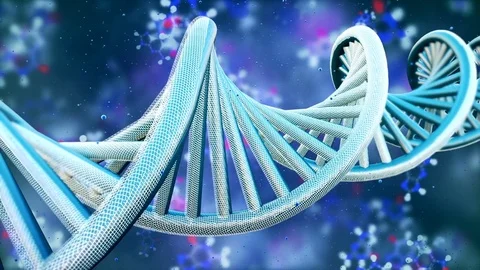 Rotating model of DNA strands. Loopable ... | Stock Video | Pond5