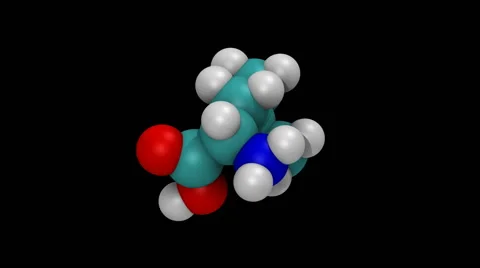 Rotating molecular model of the amino acid leucine 動画素材 64804209