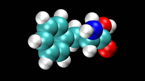 Rotating molecular model of the amino acid phenylalanine Video stock 64804219