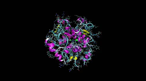 Rotating molecular model of insulin Vidéo 64804273