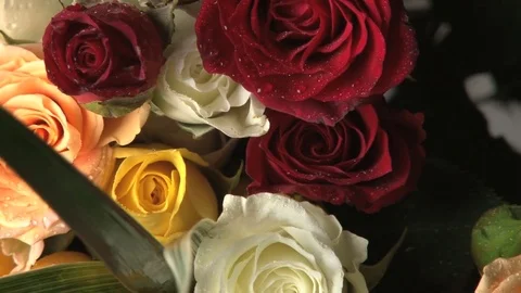 Rotating multicolor rose bouquet Stock Footage 74094373