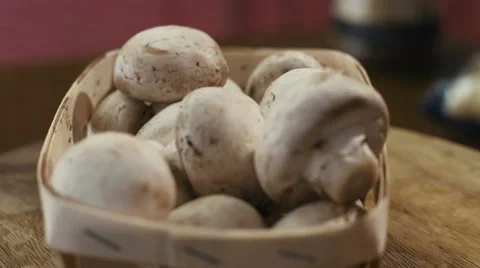 Rotating Mushrooms as detailed not loopable 4K UHD footage (close-up clip Stock Footage 62472032