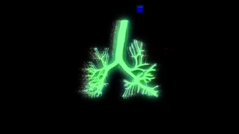 A rotating neon animation of human lungs and their structure. Stock Footage 304030666