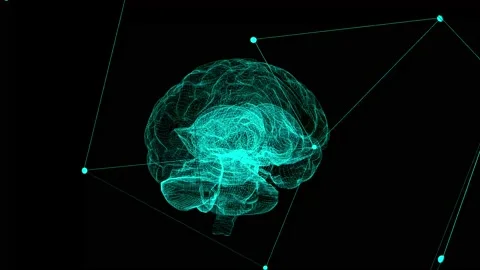 Rotating Neon Blue Human Brain Model Animation. Artificial Intelligence (AI). Stock Footage 211782680