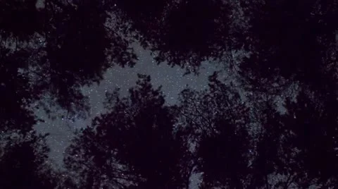Rotating night sky Stock Footage 11528115
