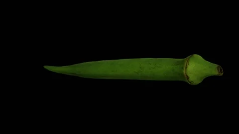 Rotating Okra on Black Background (Looping) Video stock 146820620