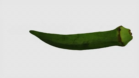 Rotating Okra on Transparent Background (Looping with Alpha Channel) Stock Footage 147958208