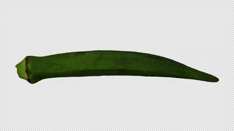 Rotating Okra on Transparent Background (Looping with Alpha Channel) Stock Footage 147958251
