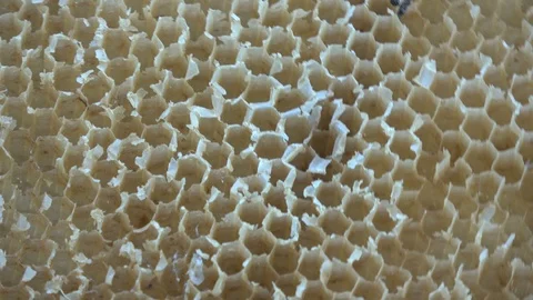 Rotating old wax comb abstract background Stock Footage 94663310