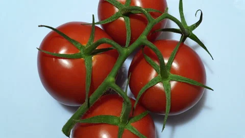Rotating One Of Tomato Varieties. Stock Footage 96283478