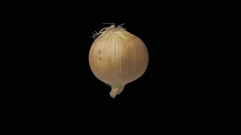 Rotating Onion on Black Background Stock Footage 234843626