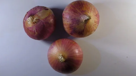 Rotating onions of colors on wheel with full one circle Video stock 110858962