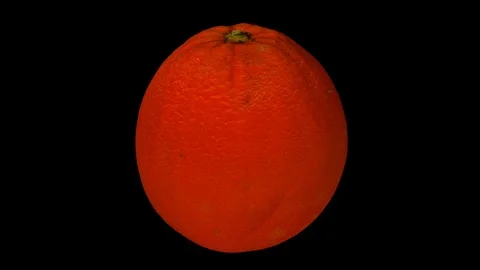 Rotating Orange on Black Background (Looping) Stock Footage 93378520