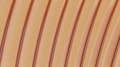 Rotating orange gradient spirals in an array 2 Vidéo 170555595