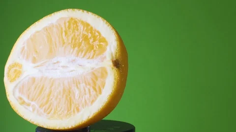Rotating Orange on a Green Background Video stock 113404602
