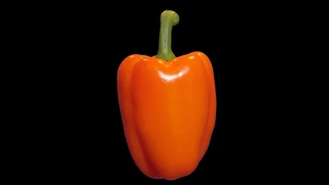 Rotating Orange Pepper Loop ALPHA Stock Footage 76922459
