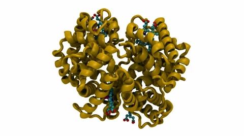 Rotating Oxyhemoglobin Molecule Stock Footage 64800445