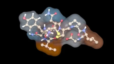 Rotating Oxytocin molecule. Ttransparent solid surface, ball and stick view. Stock Footage 83433671