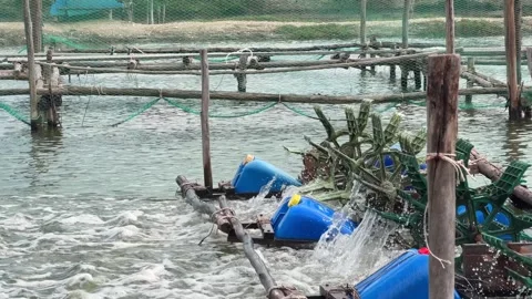 Rotating paddles send delicate splashes upward and form clusters of bubbles Stock Footage 324957037