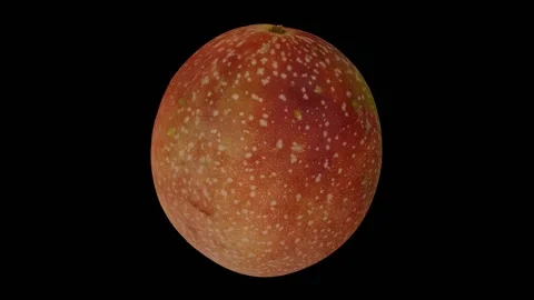 Rotating Passion Fruit on Black Background (Looping) Stock Footage 146821938