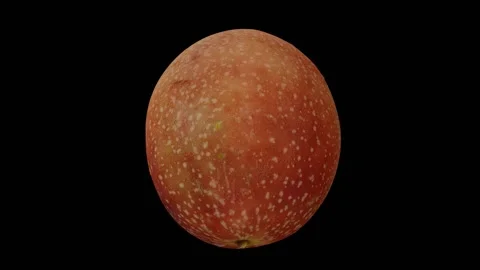 Rotating Passion Fruit on Black Background (Looping) Stock Footage 146822052