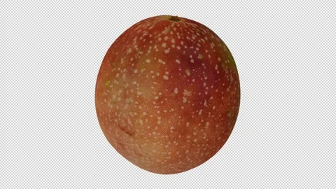 Rotating Passion Fruit on Transparent Background (Looping with Alpha Channel) Stock Footage 146821924