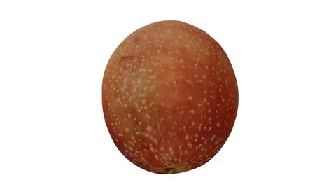 Rotating Passion Fruit White Background (Looping) Stock Footage 146822066