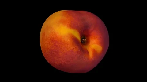 Rotating Peach (Nectarine) on Transparent Background  (Alpha Channel) Stockbeeldmateriaal 80830674
