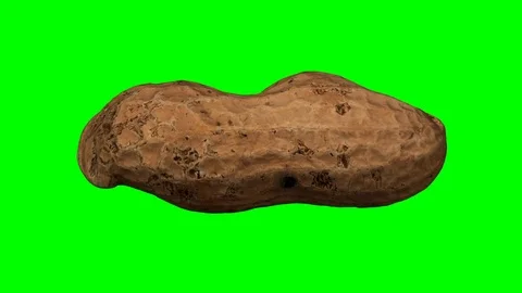 Rotating Peanut Pod on Green Background Stock Footage 92273592
