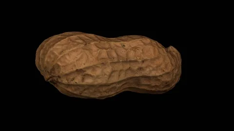 Rotating Peanut Pod on Transparent Background (Alpha Channel) Stock Footage 92286119