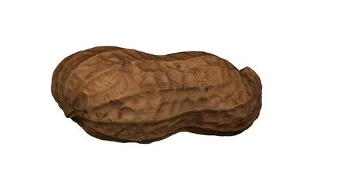 Rotating Peanut Pod on White Background Stock Footage 92273391