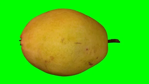 Rotating Pear on Green Background (Looping) Stock Footage 93378552