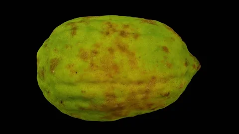 Rotating Philippine Lemon on Black Background (Looping) Stock Footage 151186167