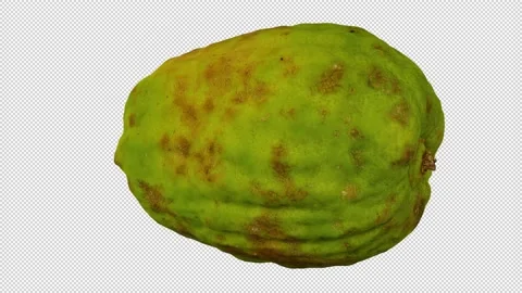 Rotating Philippine Lemon on Transparent Background (Looping with Alpha Channel) Video stock 151184889