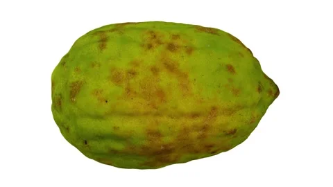 Rotating Philippine Lemon on White Background (Looping) Stock Footage 151186181