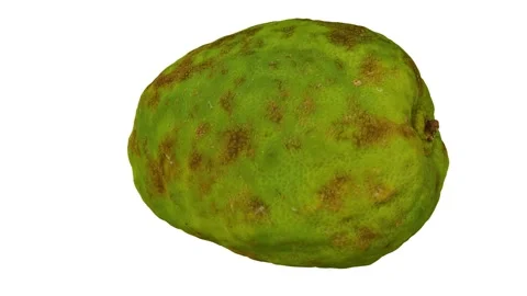 Rotating Philippine Lemon on White Background (Looping) Stock Footage 151186364