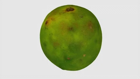 Rotating Philippine Orange on Transparent Background (Alpha Channel) Stock Footage 151233362