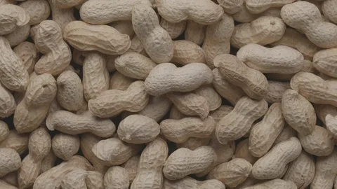 Rotating pile of raw peanuts with shells UNGRADED Video stock 119399280