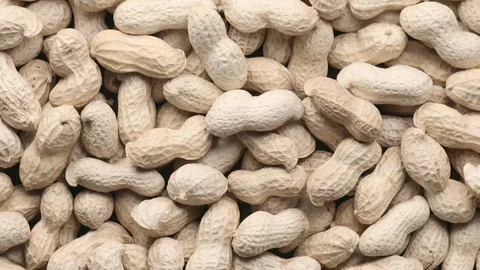 Rotating pile of raw peanuts with shells Stock Footage 119399415