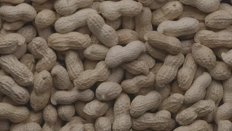 Rotating pile of raw peanuts with shells UNGRADED Stock Footage 119399798