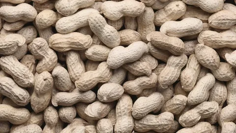 Rotating pile of raw peanuts with shells Stock Footage 119401031