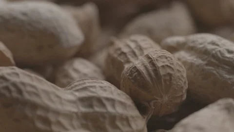 Rotating pile of raw peanuts with shells UNGRADED Stock Footage 119401420