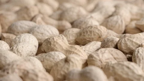 Rotating pile of raw peanuts with shells Stock Footage 119402296