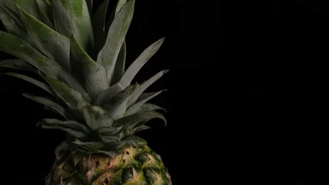 Rotating pineapple on a black background close-up with space to paste,copy space Stock Footage 205258511