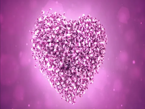 Rotating Pink Rose Sakura Flower Petals In Lovely Heart Shape Background Loop 4k Stock Footage 71482463