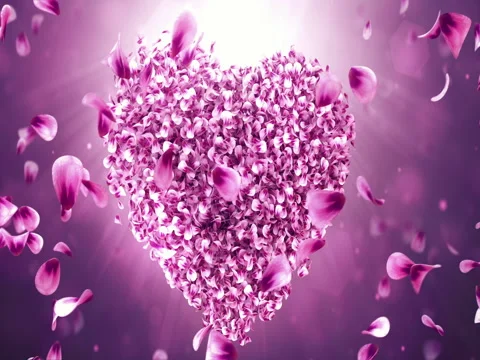 Rotating pink rose sakura flower petals in love heart shape. Seamless loop 4k Stock Footage 71820508