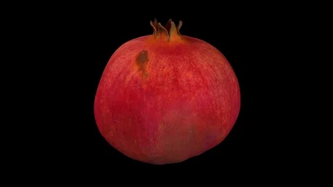 Rotating Pomegranate on Black Background Stock Footage 92265416