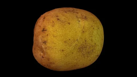 Rotating Potato on Black Background | Stock Video | Pond5