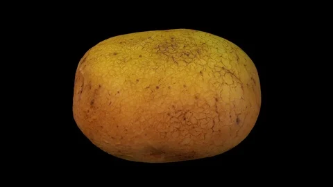 Rotating Potato on Black Background Stock Footage 92270928