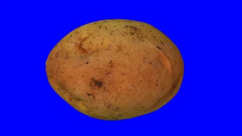Rotating Potato on Blue Background Stock Footage 92267768